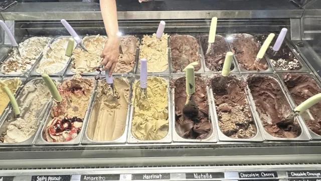 Kingston Food Guide 🥨｜You Must Try This Ice Cream in Kingston!