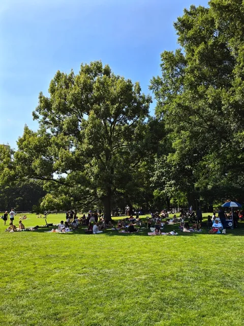 🇺🇸 NYC’s Iconic Sheep Meadow: Where New Yorkers Truly Unwind 🌿