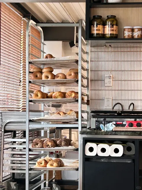 🥯 Dunedin: A Half-Day Adventure in the "Little Edinburgh of the South