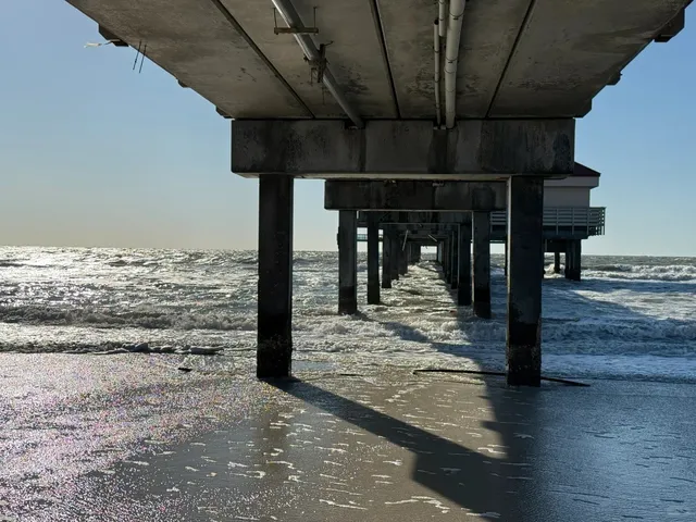  Here’s How to Eat & Play in Tampa! 🌴🍽️