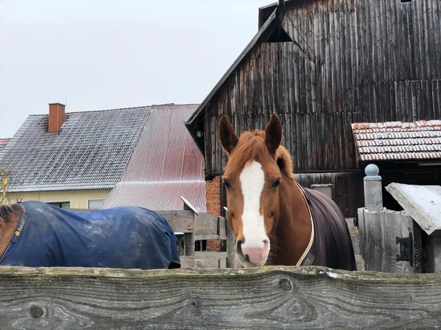 🇩🇪 Lich: A Fairytale Hiking Town Near Gießen & Frankfurt 🌿🏰