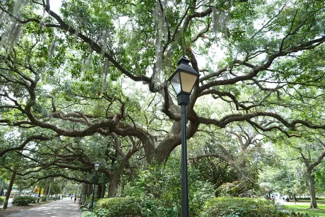 Savannah | Day 2 SCAD Exhibition Tour 🎨✨  