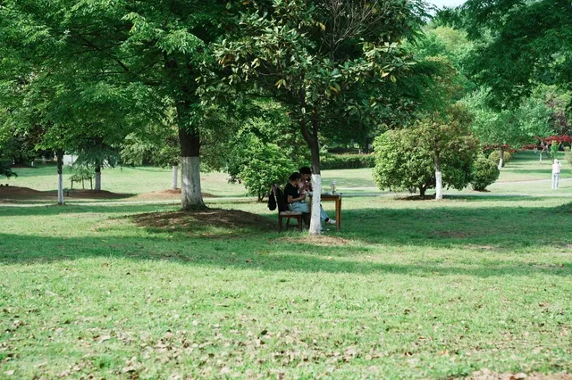 🌿 Nanjing’s Boai Park: Where Time Slows Down 🍃