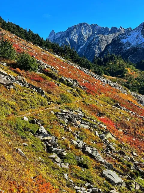 Hiking｜Cascade Pass & Sahale Arm Trail 🍁⛰️