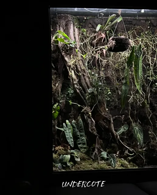 New York’s Favorite Bars 🌟