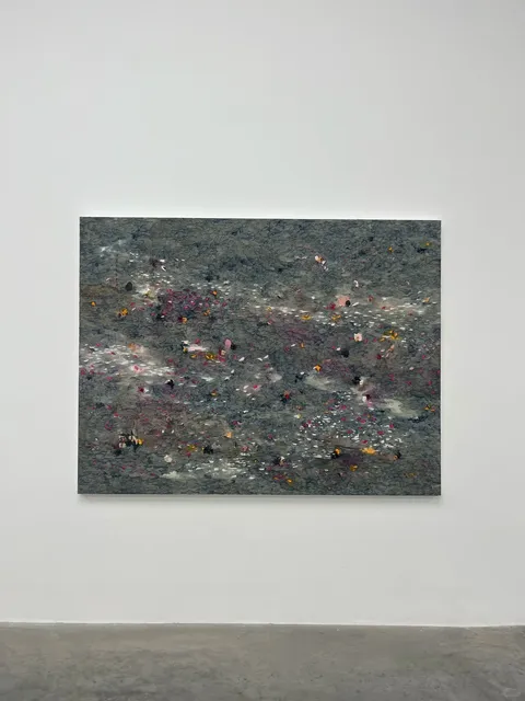 A Cosmic Journey Through Landscapes!​​ 🌍✨