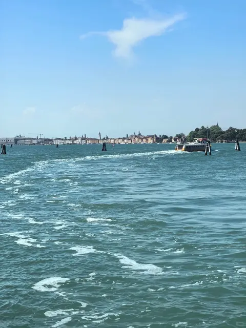 Venice Actually Has Such a Beautiful Beach! 🏖️