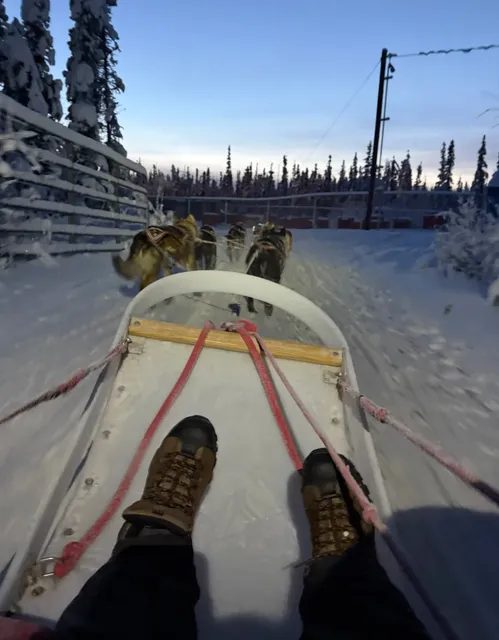 Alaska | Fragments of Memory