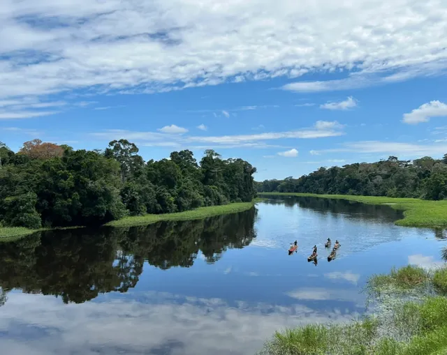  Yaoundé's Ancient Banyan Tree & Canoe Adventure | Expat Diary