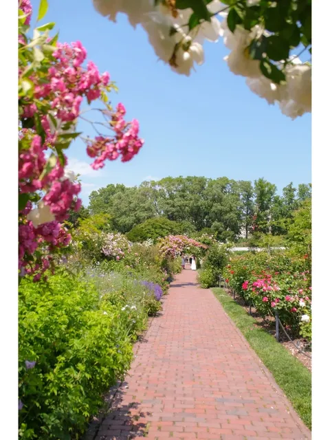  NYC Summer Fairytale: Cranford Rose Garden