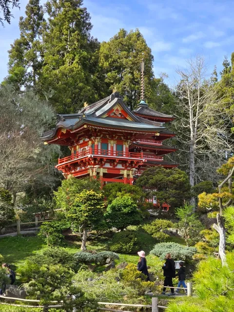 🌸🏯 Golden Gate Park’s Hidden Gem: Japanese Tea Garden 🏯🌸