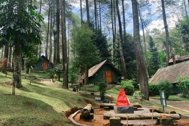 Travel Guide | Forest Cabins + Night Market 、