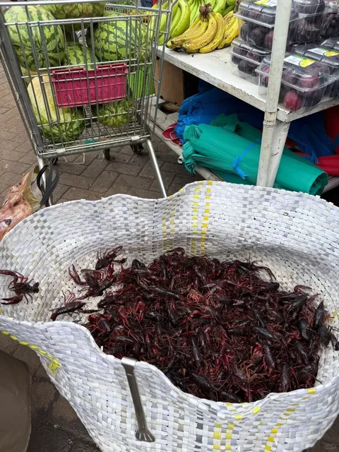 🌆 Nairobi: Where Urban Chaos Meets Cultural Cool