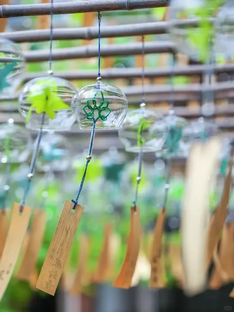 Japanese Summer Travel(1) 🌟