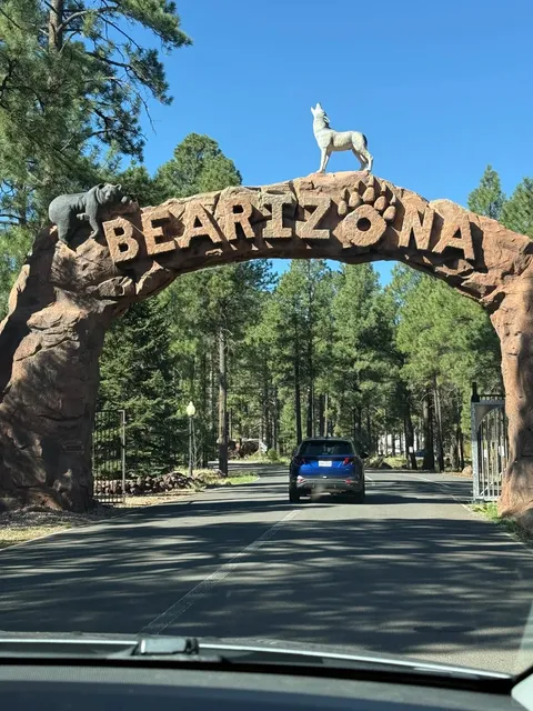 Arizona Adventure  | "Robbed" by Bears at Bearizona 🐻💕