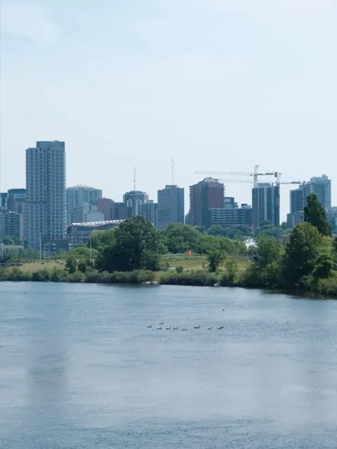 🇨🇦 Ottawa Hidden Gem Citywalk📍Brébeuf Park - A Riverside Escape​​
