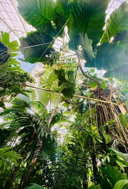 Conservatory of Flowers, San Francisco: A Victorian Jewel Box of Botan