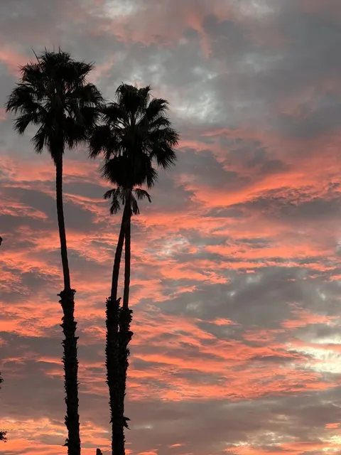 From Silver Lake to Sunset Blvd: A Perfect LA Day 🌈🌅
