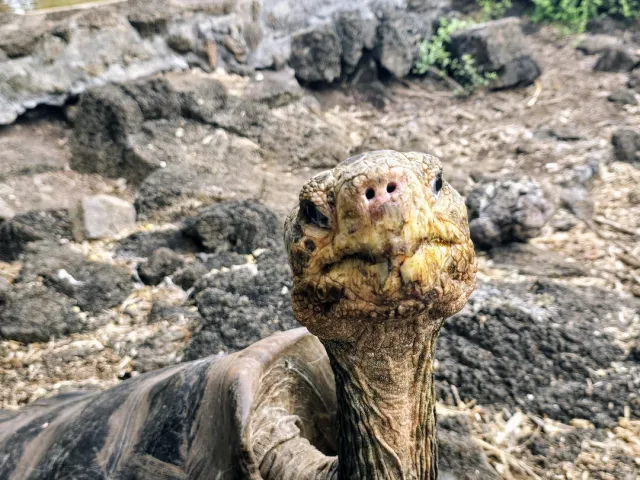 An Incredible & Brave Galápagos Islands Cruise In Miami! 🚢