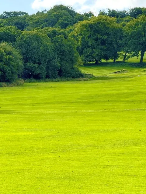 🌿 Lickey Hills Country Park: Birmingham's Natural Escape