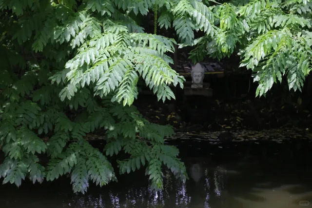 🇳🇱 Nuenen: Where Van Gogh Painted Potatoes & Poverty 🥔🎨