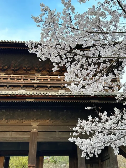 Nanzenji Temple 