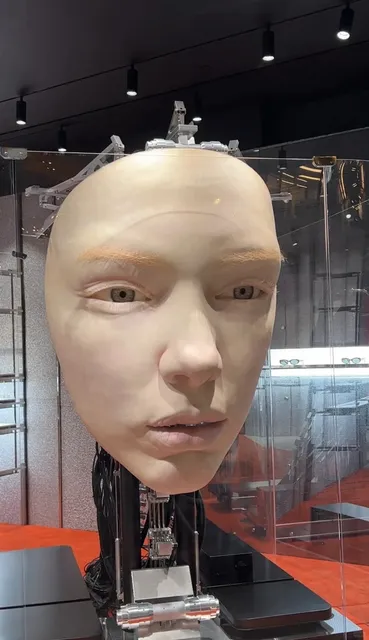 Christmas Travel Guide: 5 Days in Texas Cowboy Country