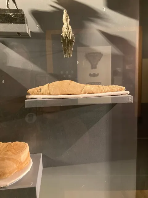 What a Wonderful Surprise! 🎭✨