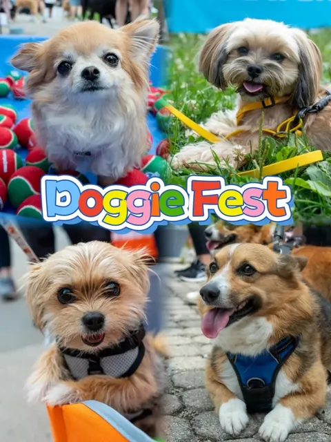 🇨🇦 Weekend Must-Visit | 2025 Summer Pet Carnival 🐕🦺🐕  