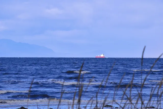 🌊 Hiking | Beach Day Near Glasgow: Ayr Adventure! 🏴󠁧󠁢󠁳󠁣󠁴󠁿🚂