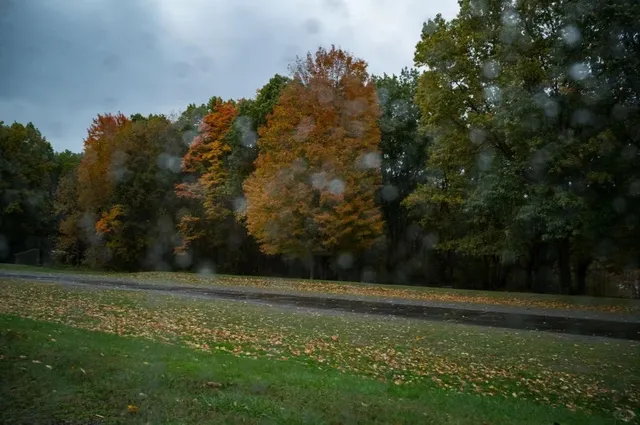 Moraine State Park 🌧️ | A Rain-Kissed Autumn Escape near Pittsburgh