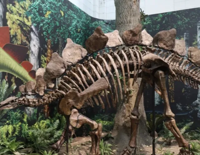 🏛️ Carnegie Museums of Pittsburgh 