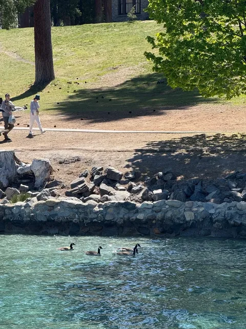 Summer in Tahoe is Simply Unbeatable! 🏔️💙