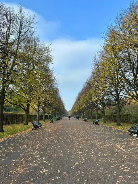 Late Autumn in Regent’s Park | Tips 🍂