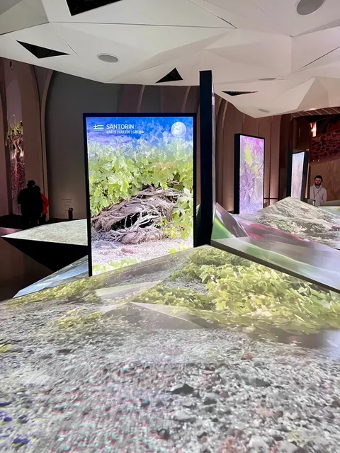 Bordeaux 🍷 | La Cite du Vin Wine Museum 🏰🍇