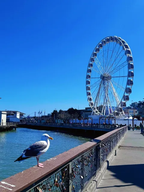 San Francisco 1-Day Itinerary (Lazy & Budget-Friendly!) 🚗