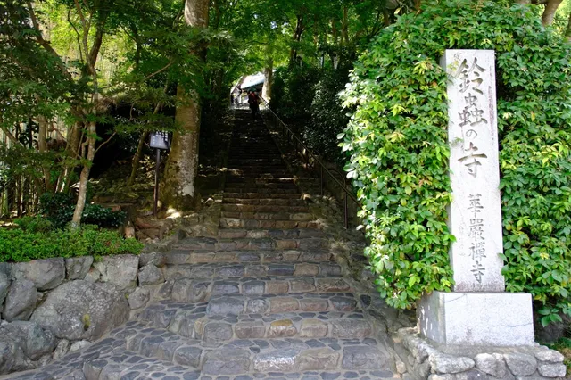  Suzumushi-dera(1)