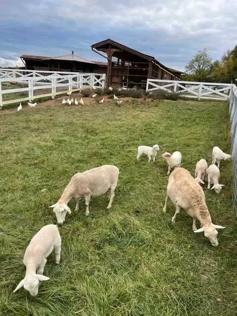 Asheville Travel Guide | North Carolina’s Secret Garden 🏔️