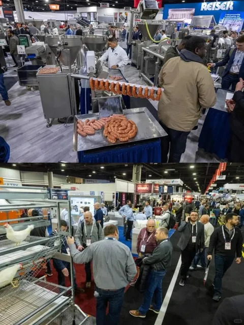 January in Atlanta | Limited-Time Events Are Here!