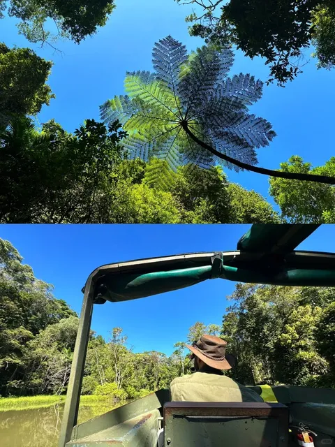 🌿 Kuranda Rainforest | Lost in the Real-Life "Avatar" World
