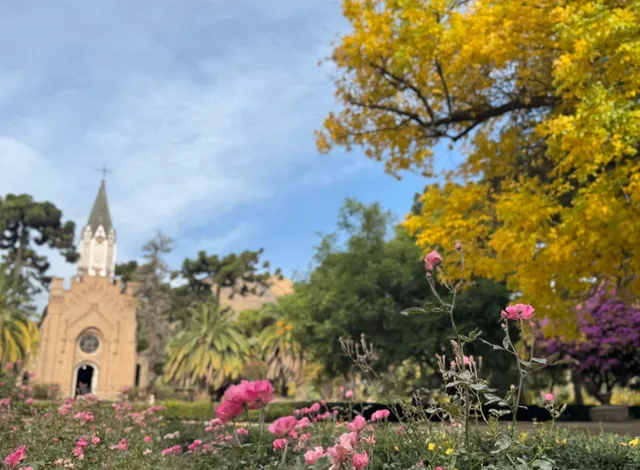 Chilean Winery Recommendation | A Hidden Gem 40 Minutes from Santiago!