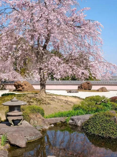 Hirano Shrine 🌸🌺🌿🍃