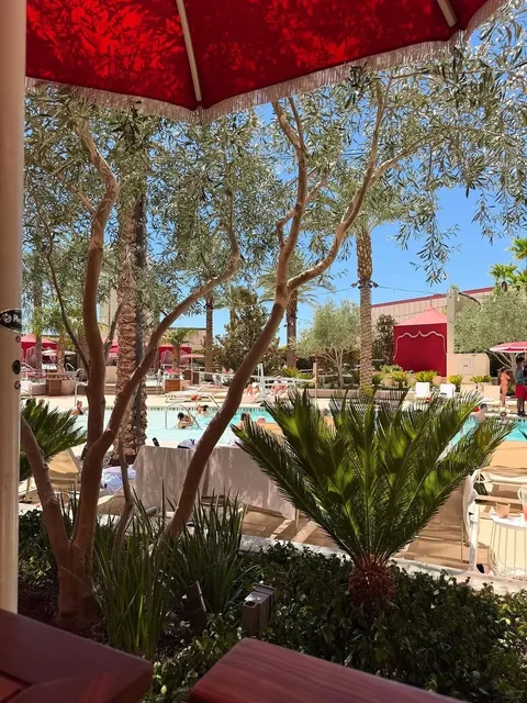 🇺🇸 Romantic Getaway in Vegas – So Good We Didn’t Want to Check Out!