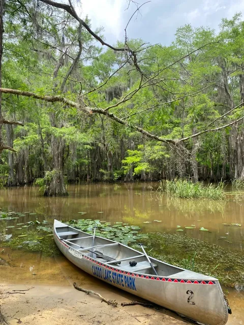💙 Kayaking at Caddo Lake 🛶🌿