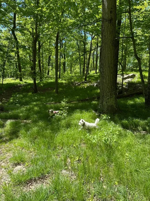  NYC's Closest Wilderness Escape for Summer Adventures​​