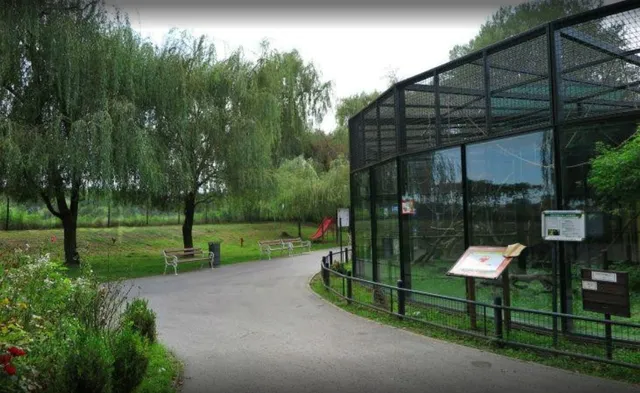 Osijek Adventure: The Red Fićo & Animal Kingdom Encounter