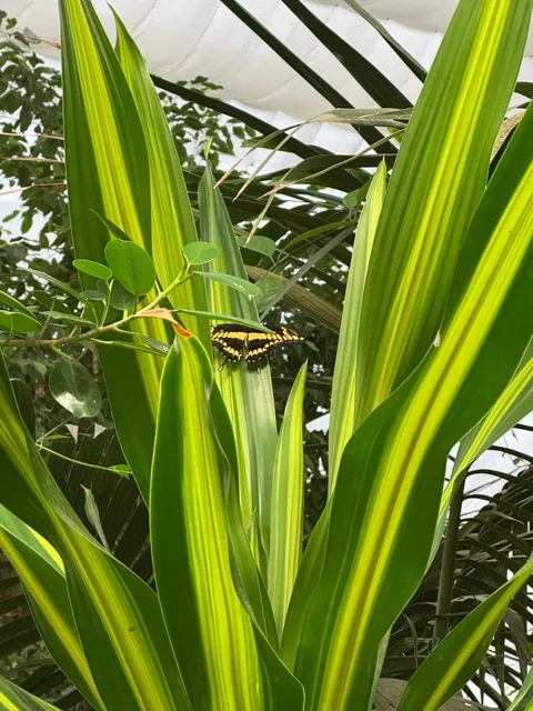🇩🇪 Elbauenpark & the Millennium Tower in Magdeburg 🌳🏰