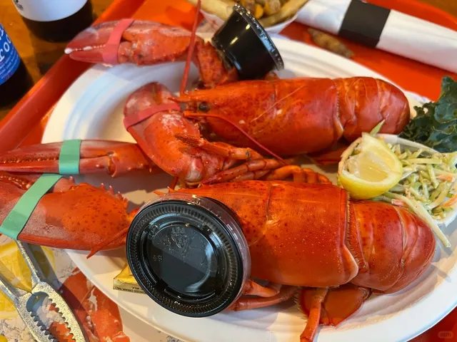 Maine Eats: A Portland Food Roundup 🦞