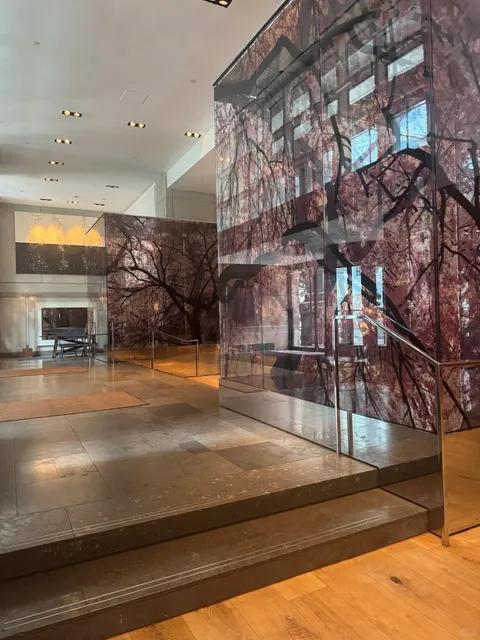 Park Hyatt Washington DC | The Understated Luxury Choice 🌸✨  