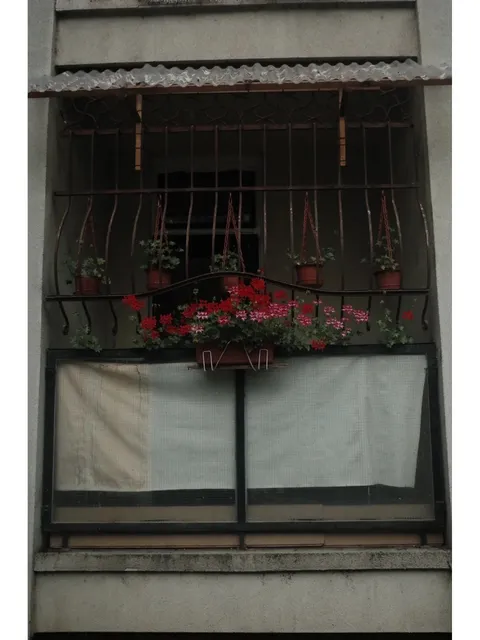 🇭🇺 Quit-Job Travel Diary - Day 8: Summer in Szeged 🍃